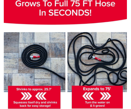 T13 178446